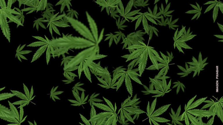 foto embarazo pacheco