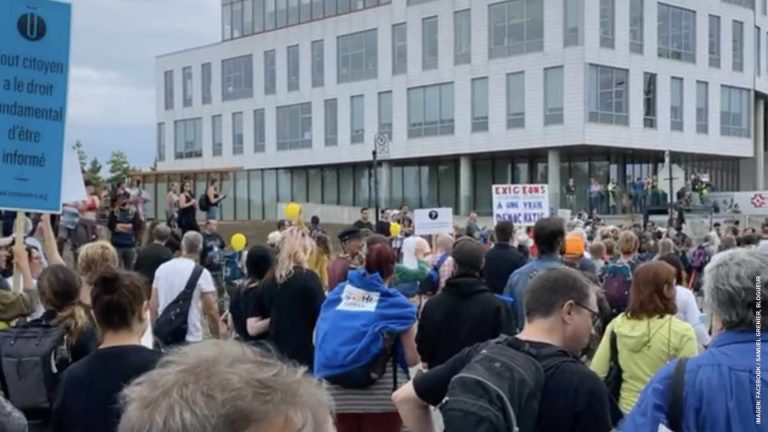 Fot marchan profesionales