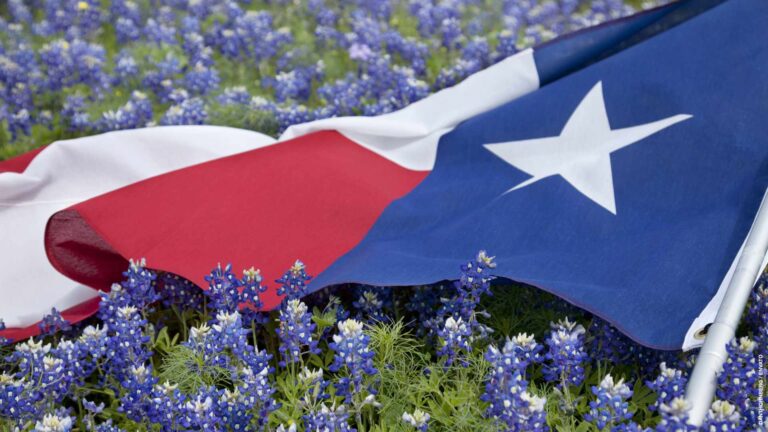 Texas flag among bluebonnet flowers on bright spring day
