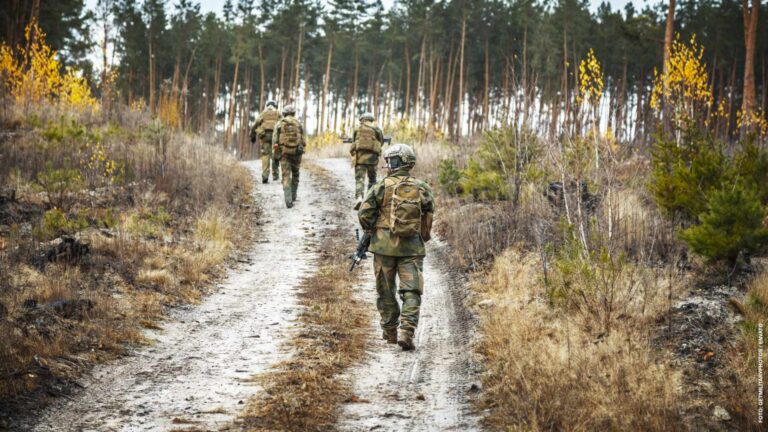 norwegian soldiers in the forest