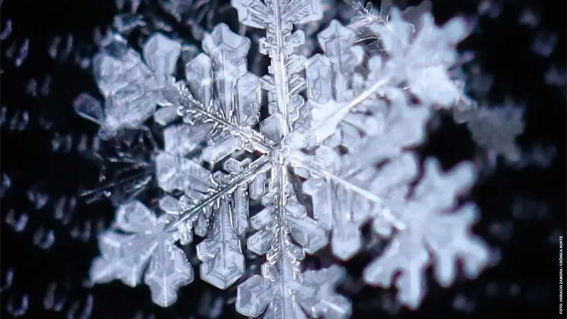 Copos de nieve, únicos e irrepetibles en la naturaleza – Crónica Norte