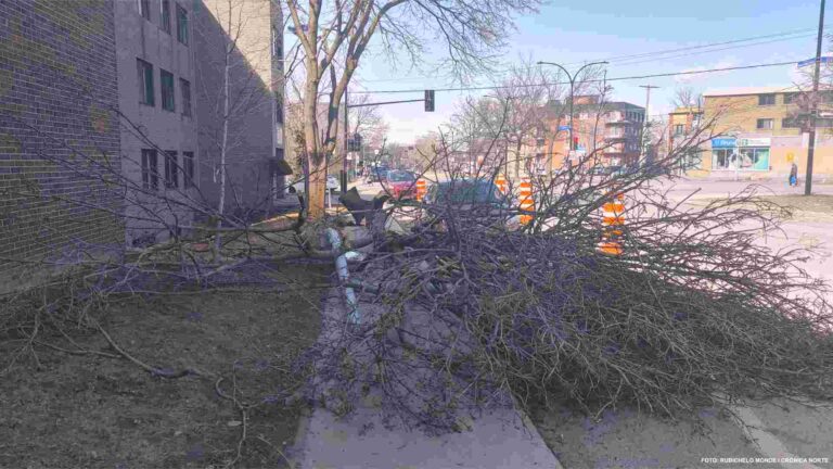Foto limpieza primavera