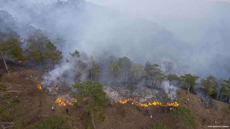 Foto incendios Quebec