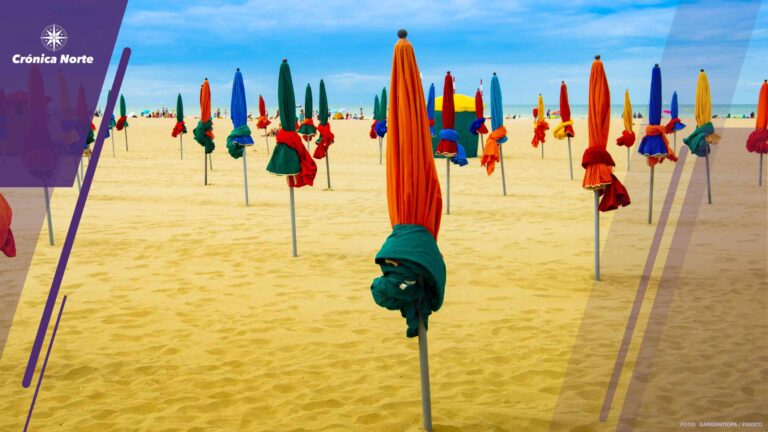 Lots of colorful closed umbrellas on the sunny summer beach with yellow sand