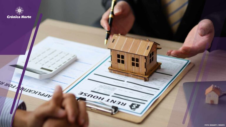 Attorneys are giving advice on real estate law. Signing real est