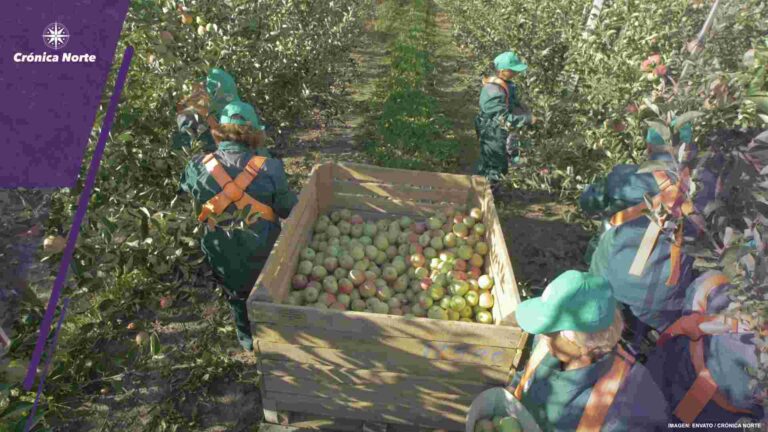 Foto trabajadores temporales