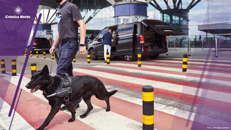 Security officer with police dog crossing the road at airport