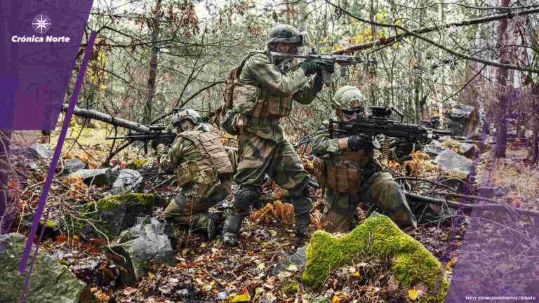 norwegian soldiers in the forest