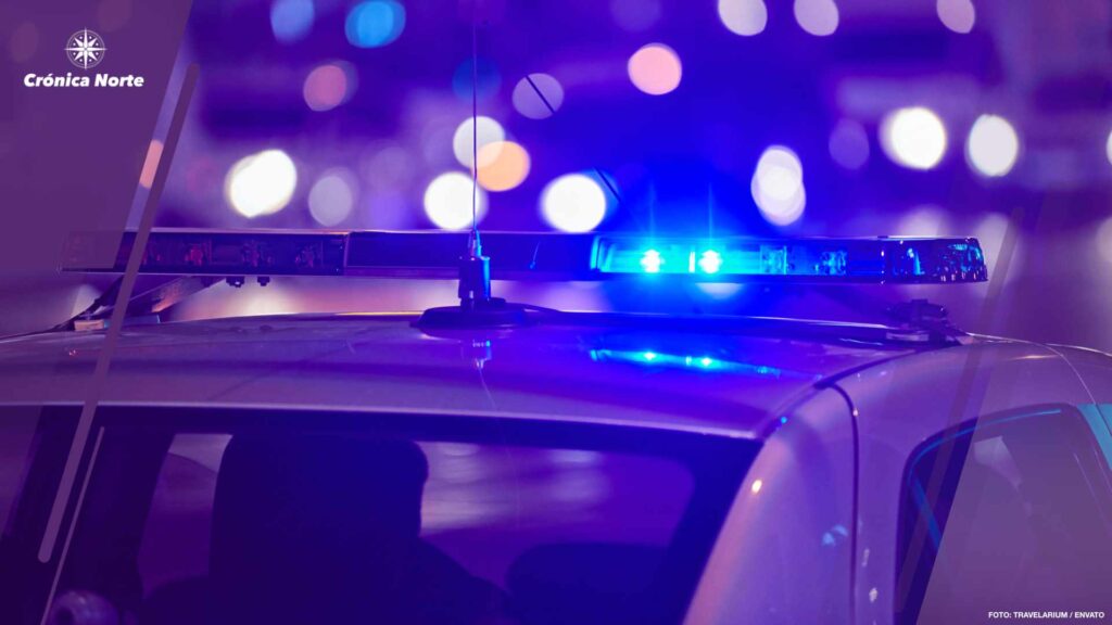 Police car lights at night city street
