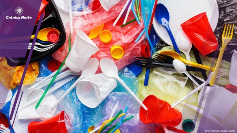 Rubbish that can be recycled