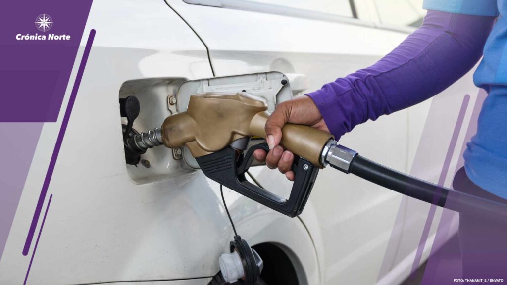 Hand hold Fuel nozzle to add fuel in car at filling station