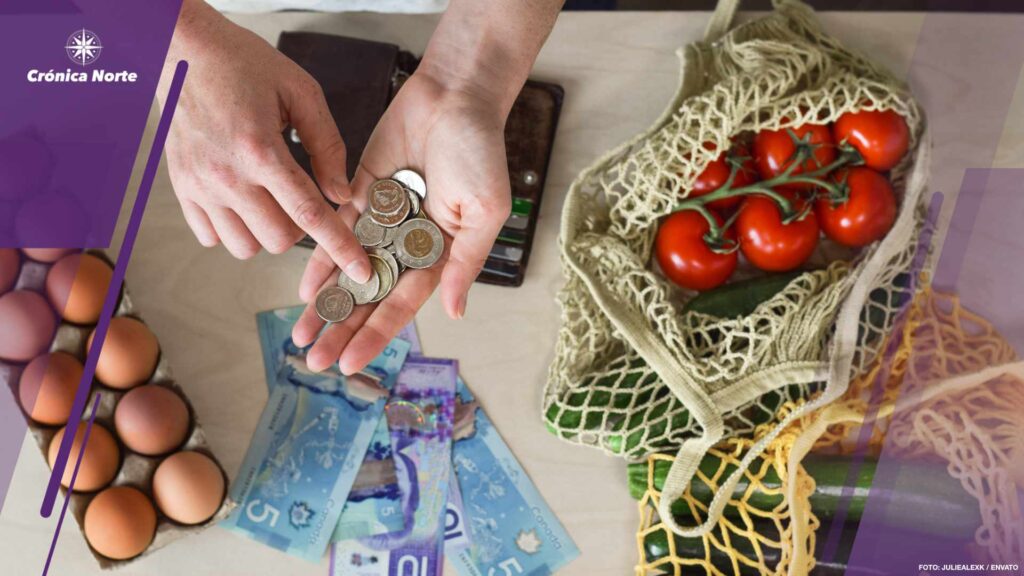 Female hands with Canadian cash money and bags with fresh produc